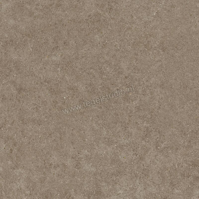  Atlas Concorde Boost Stone Taupe 80x80 cm Vloertegel / Wandtegel Mat Vlak Sensitech A9RY | 332769