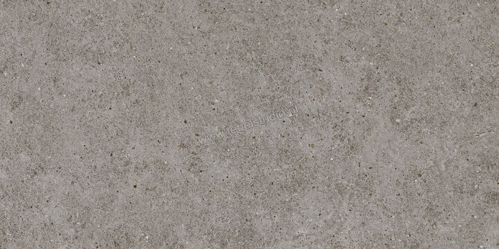  Atlas Concorde Boost Stone Smoke 60x120 cm Vloertegel / Wandtegel Mat Vlak Naturale A6Q9 | 332793