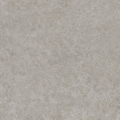  Atlas Concorde Boost Stone Outdoor Grey 120x120x2 cm Terrastegel Mat Gestructureerd Naturale A67P | 332805