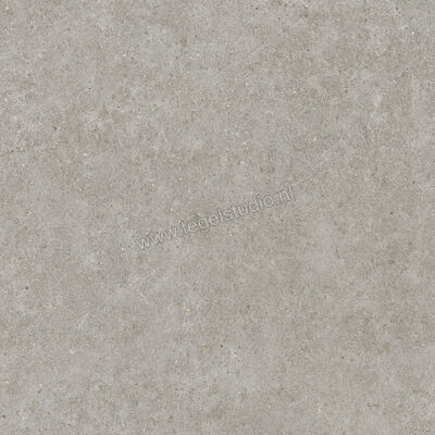  Atlas Concorde Boost Stone Grey 80x80 cm Vloertegel / Wandtegel Mat Vlak Sensitech A9R4 | 332835