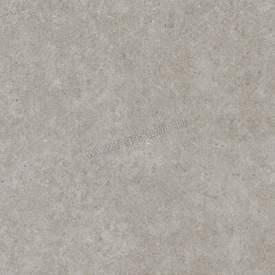  Atlas Concorde Boost Stone Grey 80x80 cm Vloertegel / Wandtegel Mat Vlak Sensitech A9R4 | 332865