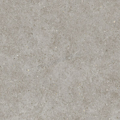  Atlas Concorde Boost Stone Grey 60x60 cm Vloertegel / Wandtegel Mat Vlak Naturale A6RM | 333678