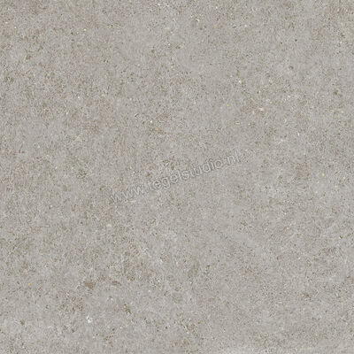  Atlas Concorde Boost Stone Grey 60x60 cm Vloertegel / Wandtegel Mat Vlak Naturale A6RM | 333687