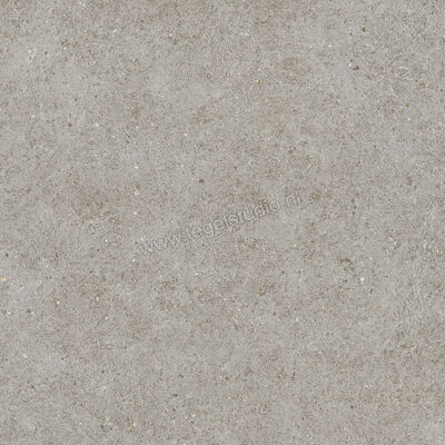  Atlas Concorde Boost Stone Grey 60x60 cm Vloertegel / Wandtegel Mat Vlak Naturale A6RM | 333696