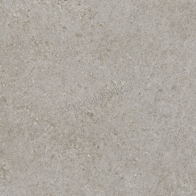  Atlas Concorde Boost Stone Grey 60x60 cm Vloertegel / Wandtegel Mat Vlak Naturale A6RM | 333717