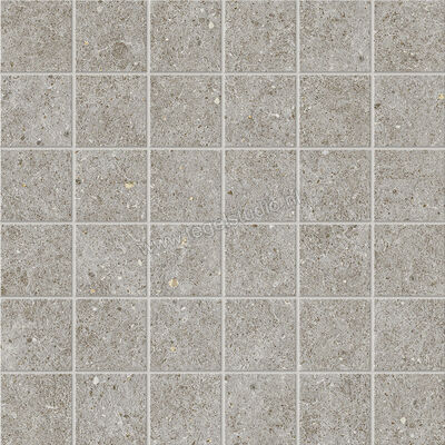  Atlas Concorde Boost Stone Grey 30x30 cm Mozaiek 4,8x4,8 Mat Vlak Naturale A7DJ | 333822