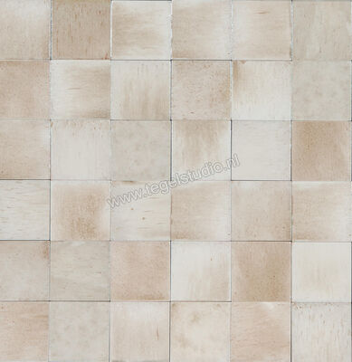 Ragno Gleeze Beige 10x10 cm Decor Glanzend Gestructureerd Naturale R8GL | 334233