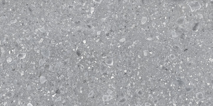  Ragno Realstone_Ceppo Grigio 90x180 cm Vloertegel / Wandtegel Mat Vlak Naturale RCXJ | 335055