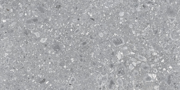  Ragno Realstone_Ceppo Grigio 90x180 cm Vloertegel / Wandtegel Mat Vlak Naturale RCXJ | 335058