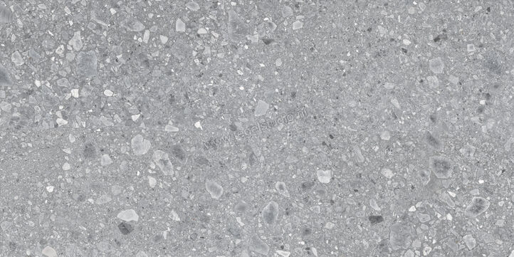  Ragno Realstone_Ceppo Grigio 90x180 cm Vloertegel / Wandtegel Mat Vlak Naturale RCXJ | 335076