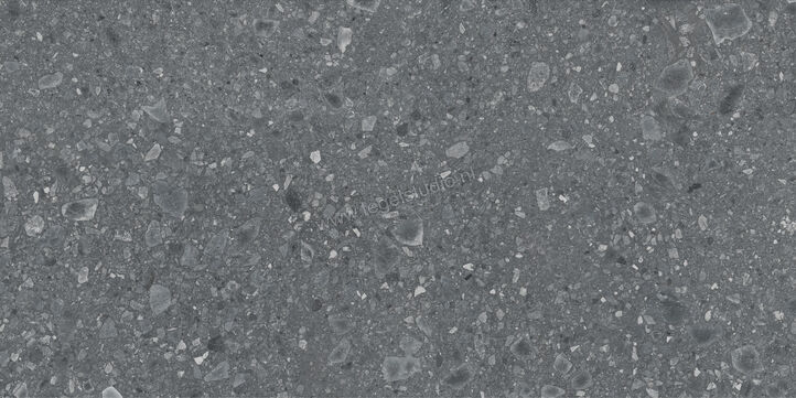  Ragno Realstone_Ceppo Antracite 90x180 cm Vloertegel / Wandtegel Mat Vlak Naturale RCXH | 335079
