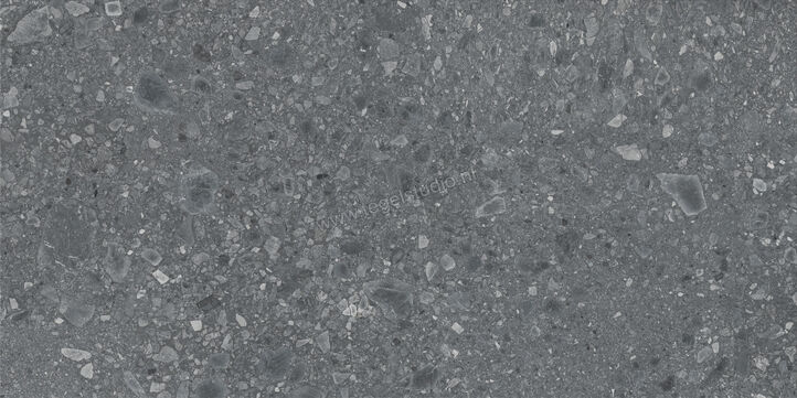  Ragno Realstone_Ceppo Antracite 90x180 cm Vloertegel / Wandtegel Mat Vlak Naturale RCXH | 335247