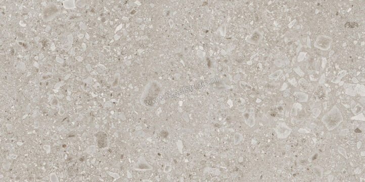  Ragno Realstone_Ceppo Beige 90x180 cm Vloertegel / Wandtegel Mat Vlak Naturale RCXF | 335286