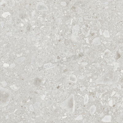  Ragno Realstone_Ceppo Bianco 60x60 cm Vloertegel / Wandtegel Mat Vlak Naturale RCXD | 335331