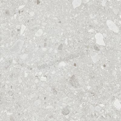  Ragno Realstone_Ceppo Bianco 60x60 cm Vloertegel / Wandtegel Mat Vlak Naturale RCXD | 335334