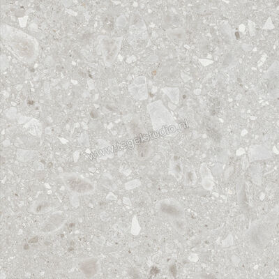  Ragno Realstone_Ceppo Bianco 60x60 cm Vloertegel / Wandtegel Mat Vlak Naturale RCXD | 335337