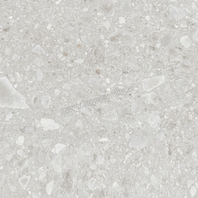  Ragno Realstone_Ceppo Bianco 60x60 cm Vloertegel / Wandtegel Mat Vlak Naturale RCXD | 335340
