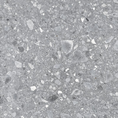  Ragno Realstone_Ceppo Grigio 60x60 cm Vloertegel / Wandtegel Mat Vlak Naturale RCXC | 335352