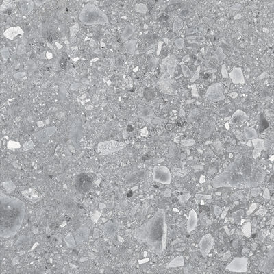 Ragno Realstone_Ceppo Grigio 60x60 cm Vloertegel / Wandtegel Mat Vlak Naturale RCXC | 335355