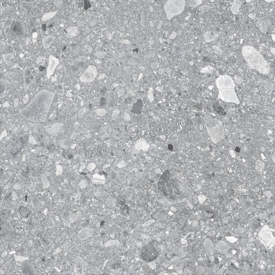  Ragno Realstone_Ceppo Grigio 60x60 cm Vloertegel / Wandtegel Mat Vlak Naturale RCXC | 335358