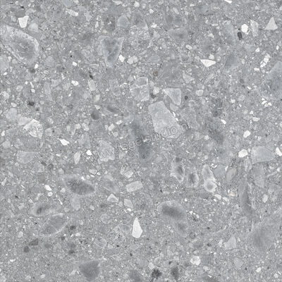  Ragno Realstone_Ceppo Grigio 60x60 cm Vloertegel / Wandtegel Mat Vlak Naturale RCXC | 335361