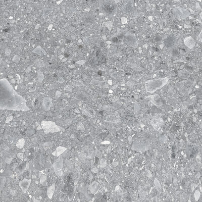  Ragno Realstone_Ceppo Grigio 60x60 cm Vloertegel / Wandtegel Mat Vlak Naturale RCXC | 335364
