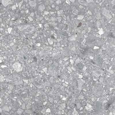  Ragno Realstone_Ceppo Grigio 60x60 cm Vloertegel / Wandtegel Mat Vlak Naturale RCXC | 335370