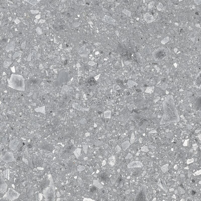  Ragno Realstone_Ceppo Grigio 60x60 cm Vloertegel / Wandtegel Mat Vlak Naturale RCXC | 335373