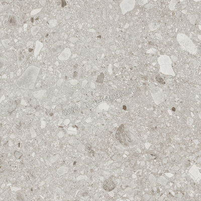  Ragno Realstone_Ceppo Beige 60x60 cm Vloertegel / Wandtegel Mat Vlak Naturale RCX9 | 335406