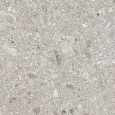  Ragno Realstone_Ceppo Beige 60x60 cm Vloertegel / Wandtegel Mat Vlak Naturale RCX9 | 335409