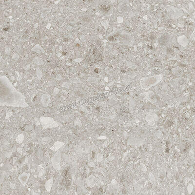  Ragno Realstone_Ceppo Beige 60x60 cm Vloertegel / Wandtegel Mat Vlak Naturale RCX9 | 335412
