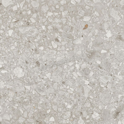  Ragno Realstone_Ceppo Beige 60x60 cm Vloertegel / Wandtegel Mat Vlak Naturale RCX9 | 335418