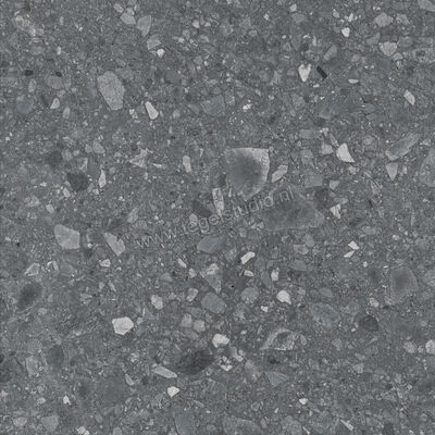  Ragno Realstone_Ceppo Antracite 60x60 cm Vloertegel / Wandtegel Mat Vlak Naturale RCX8 | 335424