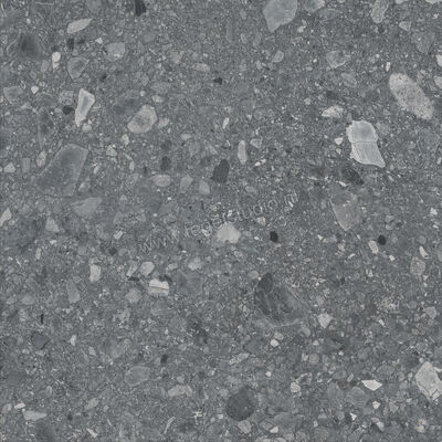  Ragno Realstone_Ceppo Antracite 60x60 cm Vloertegel / Wandtegel Mat Vlak Naturale RCX8 | 335430