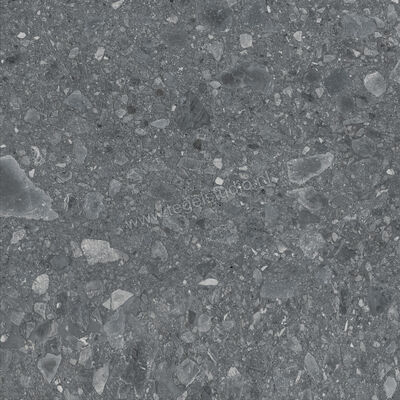  Ragno Realstone_Ceppo Antracite 60x60 cm Vloertegel / Wandtegel Mat Vlak Naturale RCX8 | 335436