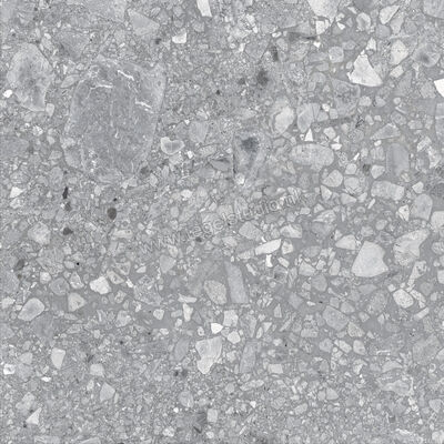  Ragno Realstone_Ceppo Grigio 60x60 cm Vloertegel / Wandtegel Mat Vlak Naturale RCX7 | 335463