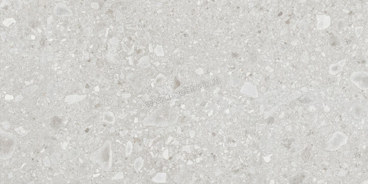  Ragno Realstone_Ceppo Bianco 60x120 cm Vloertegel / Wandtegel Mat Vlak Naturale RCWY | 335667