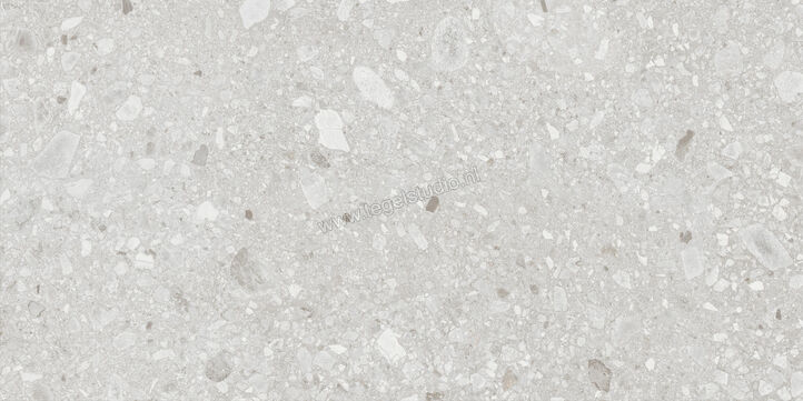  Ragno Realstone_Ceppo Bianco 60x120 cm Vloertegel / Wandtegel Mat Vlak Naturale RCWY | 335670