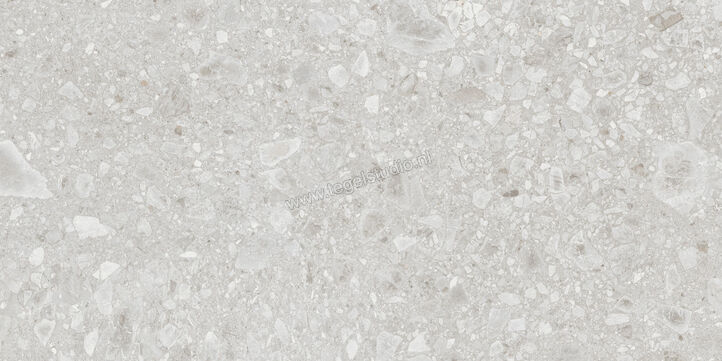  Ragno Realstone_Ceppo Bianco 60x120 cm Vloertegel / Wandtegel Mat Vlak Naturale RCWY | 335676