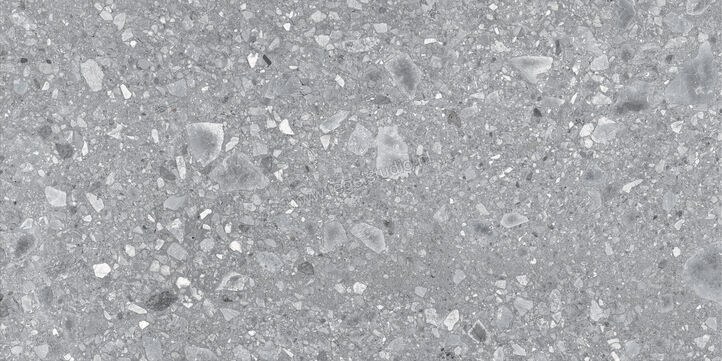  Ragno Realstone_Ceppo Grigio 60x120 cm Vloertegel / Wandtegel Mat Vlak Naturale RCWX | 335688