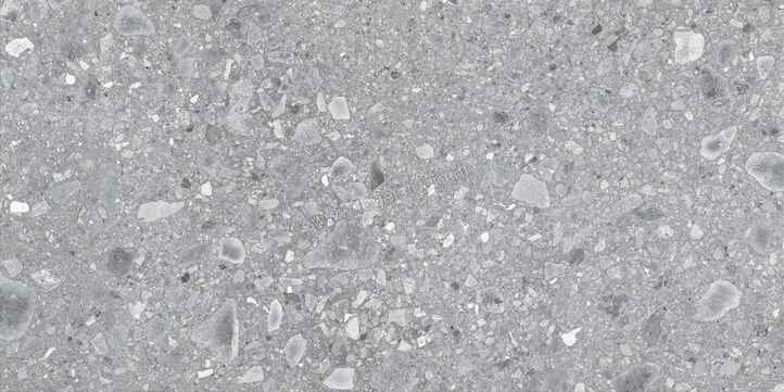  Ragno Realstone_Ceppo Grigio 60x120 cm Vloertegel / Wandtegel Mat Vlak Naturale RCWX | 335691