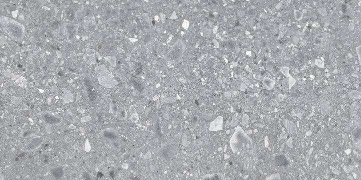  Ragno Realstone_Ceppo Grigio 60x120 cm Vloertegel / Wandtegel Mat Vlak Naturale RCWX | 335697