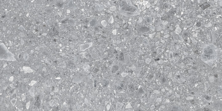  Ragno Realstone_Ceppo Grigio 60x120 cm Vloertegel / Wandtegel Mat Vlak Naturale RCWX | 335700