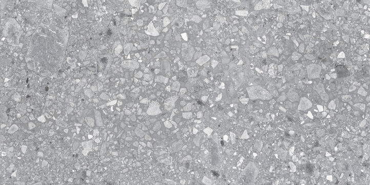  Ragno Realstone_Ceppo Grigio 60x120 cm Vloertegel / Wandtegel Mat Vlak Naturale RCWX | 335703