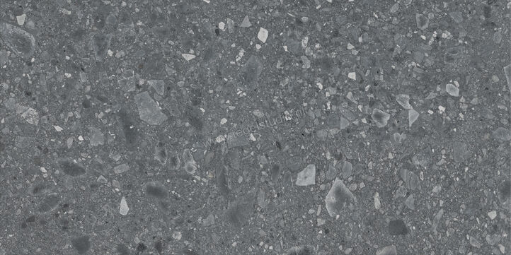  Ragno Realstone_Ceppo Antracite 60x120 cm Vloertegel / Wandtegel Mat Vlak Naturale RCWW | 335721