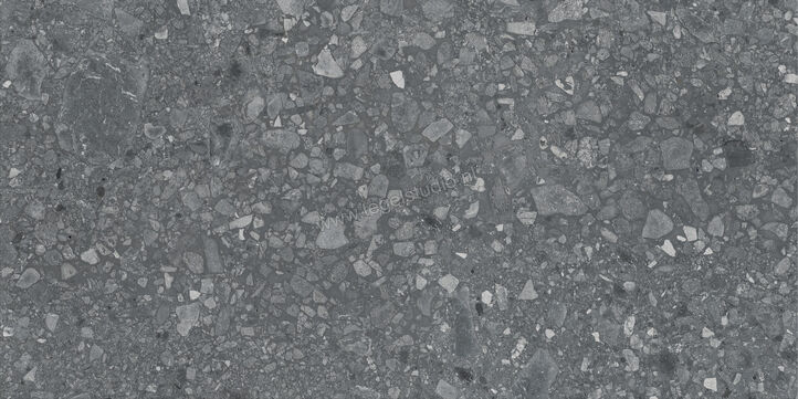  Ragno Realstone_Ceppo Antracite 60x120 cm Vloertegel / Wandtegel Mat Vlak Naturale RCWW | 335727