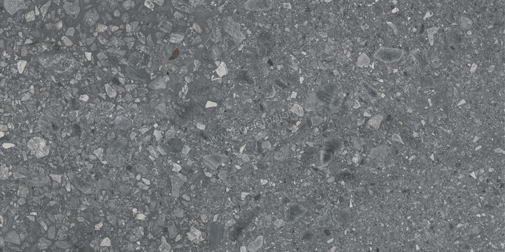  Ragno Realstone_Ceppo Antracite 60x120 cm Vloertegel / Wandtegel Mat Vlak Naturale RCWW | 335730