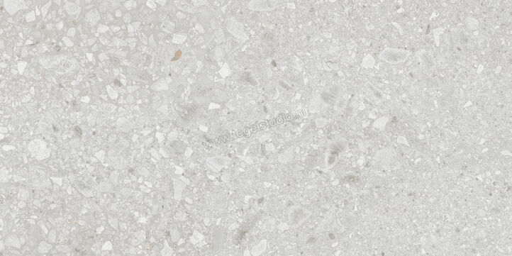  Ragno Realstone_Ceppo Bianco 60x120 cm Vloertegel / Wandtegel Mat Vlak Naturale RCWV | 335754