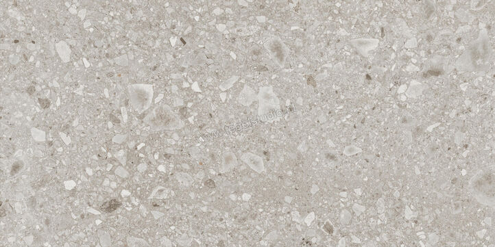  Ragno Realstone_Ceppo Beige 60x120 cm Vloertegel / Wandtegel Mat Vlak Naturale RCWU | 335760