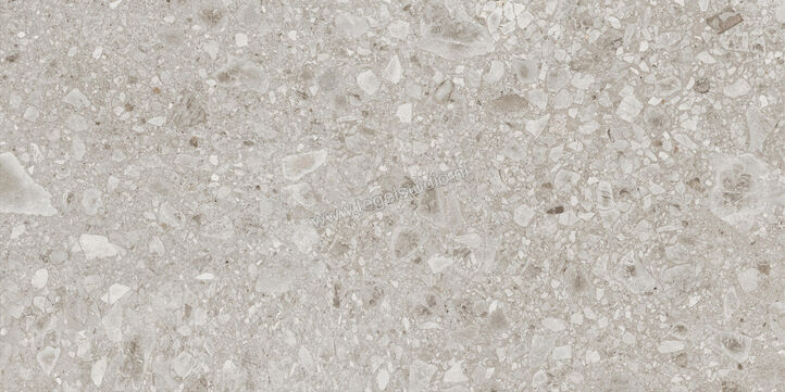  Ragno Realstone_Ceppo Beige 60x120 cm Vloertegel / Wandtegel Mat Vlak Naturale RCWU | 335772